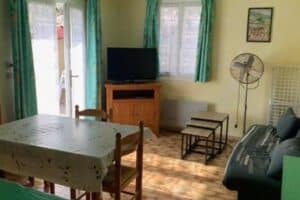 Oliviers du Château &#8211; Amandier