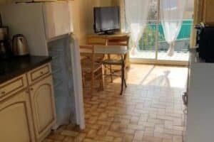 Oliviers du Château &#8211; Mimosa