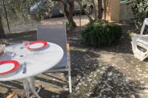 Oliviers du Château &#8211; Coquelicot