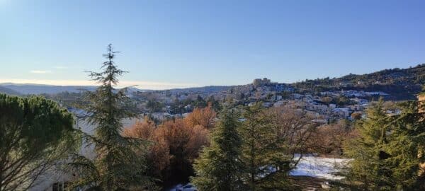 Chênes Blancs B23_Gréoux-les-Bains