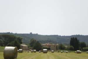 Foin