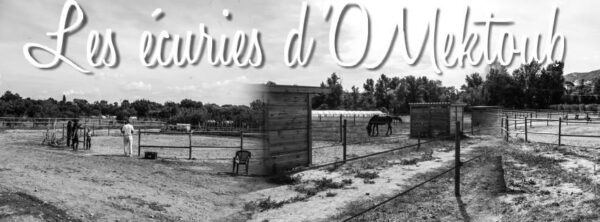 Les Écuries D'O Mektoub