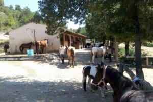 Centre Equestre Chateau Laval