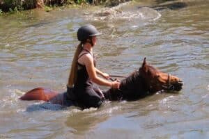 Randonnées à cheval