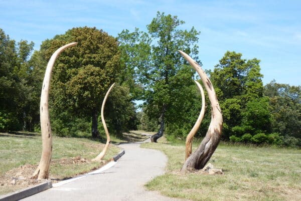 Itinéraire pédestre « Les chemins de Bellevue »