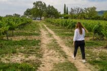Itinéraire pédestre "Sentier des Vignerons"_Pierrevert