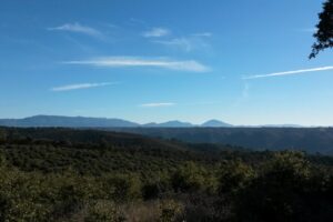 Itinéraire pédestre "Paourié"_Oraison