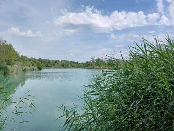 Lac de la forestière