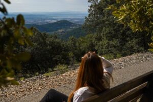 Itinéraire pédestre "Les chemins de Bellevue"_Volx