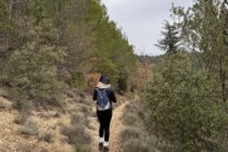 Itinéraire pédestre "Sentiers de la forêt de Pélicier"_Manosque
