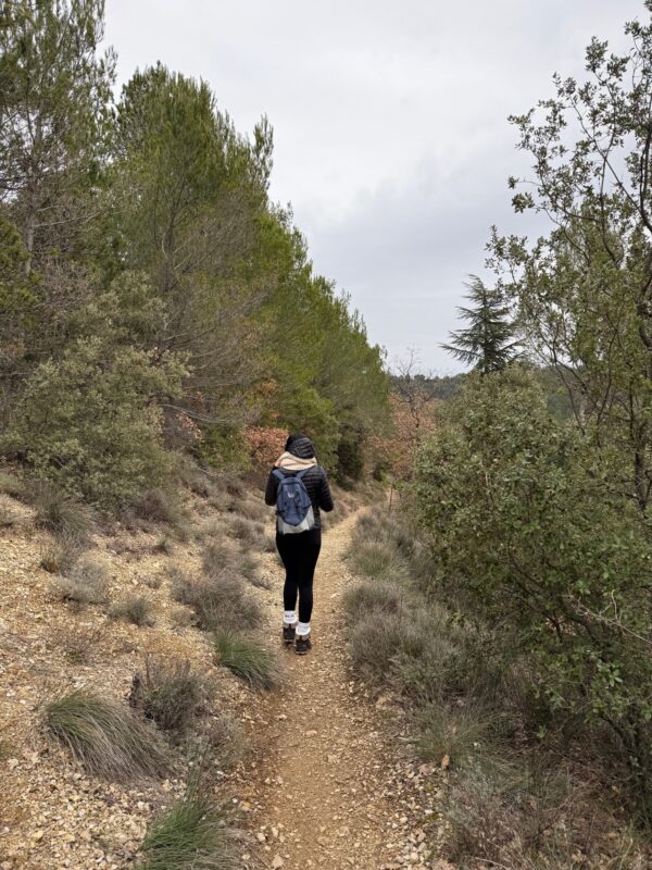 Itinéraire pédestre "Sentiers de la forêt de Pélicier"_Manosque
