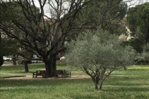 Parc autour de la résidence