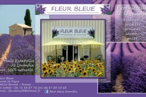 Fleur Bleue