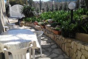 Terrasse ombragée