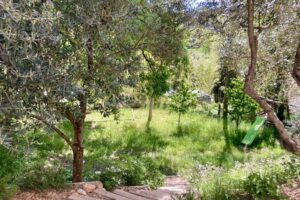 Jardin vue 2