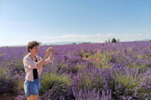 Escapade au pays des Lavandes