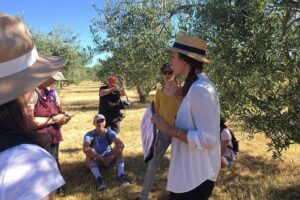 Escapade au pays des Lavandes