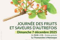Journée des fruits et saveurs d’autrefois_Manosque