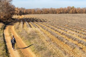 Itinéraire pédestre "Le plateau des Millarettes"_Riez