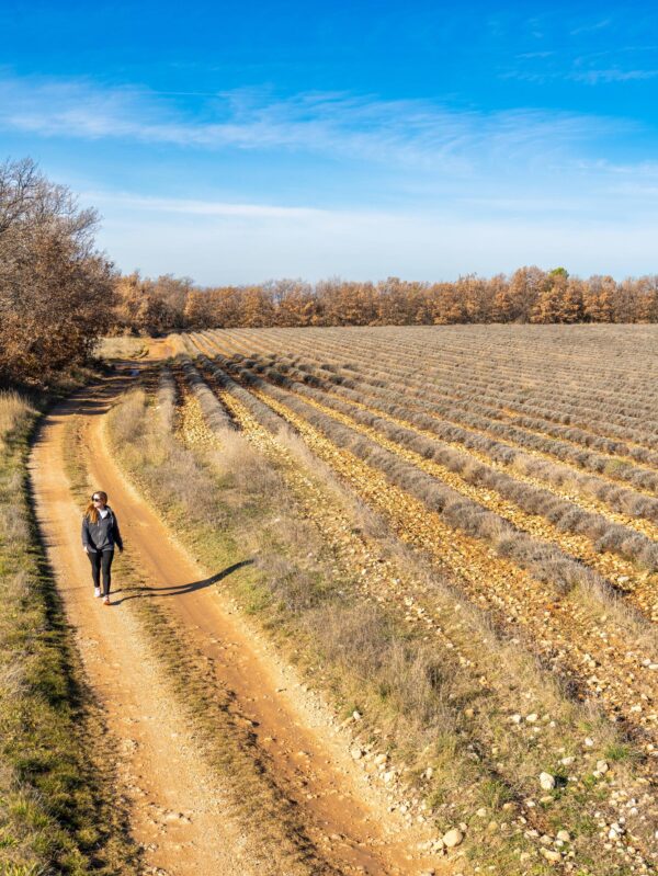 Itinéraire pédestre "Le plateau des Millarettes"_Riez