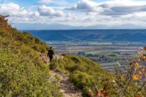 Itinéraire pédestre "Tour de la Garde"_Volx