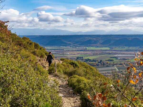 Itinéraire pédestre "Tour de la Garde"_Volx