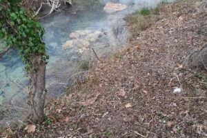 La Louane, après travaux de diversification d'habitat