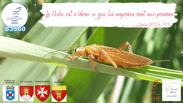 Teaser AAPPMA du Bas Verdon