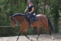 Centre équestre Mini-Ranch