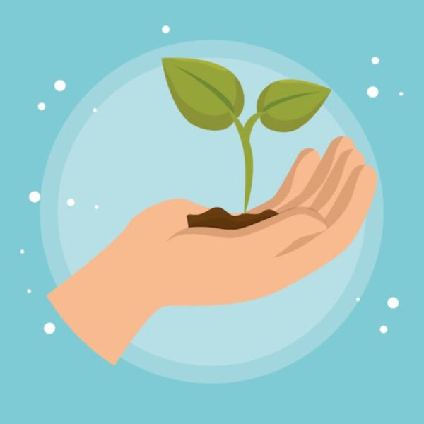 Café graines_Gréoux-les-Bains