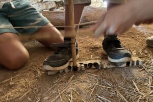 Cet été cap sur la Préhistoire : Atelier Feu