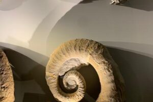 Exposition Temporaire "Sors de ta Réserve"_Quinson