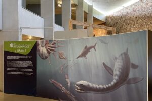 Exposition Temporaire "Sors de ta Réserve"_Quinson