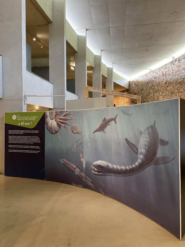 Exposition Temporaire "Sors de ta Réserve"_Quinson