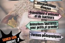 Salon de l'élevage à Manosque_Manosque