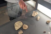 Visite ludique : Si j'étais un Préhisto_Quinson