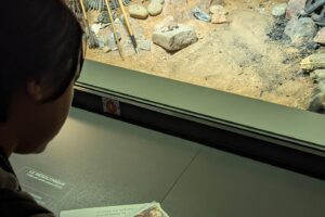 Visite ludique : Le secret de Lucien le mammouth_Quinson