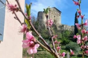 Le repaire des muses, Gréoux, Chateau