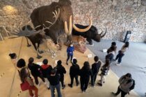 Laissez-vous guider au musée_Quinson