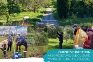 Stage " Création d'un panier en osier arceaux"_Manosque