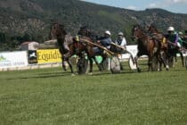 Courses hippiques