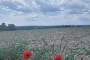 Itinéraire pédestre "Marchand de Nuages"_Gréoux-les-Bains