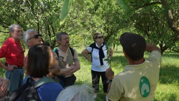 Sortie buissonnière " Les vergers villageois de Pierrevert et dégustation de pommes" "_Pierrevert