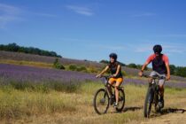 Site VTT FFC-Pays d'Oraison-Coeur de Durance-Circuit 2-Bleu-Oraison_Oraison