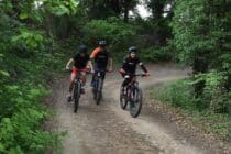 Site VTT FFC-Pays d'Oraison-Coeur de Durance-Circuit 3-Bleu-Oraison_Oraison