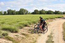 Site VTT FFC-Pays d'Oraison-Coeur de Durance-Circuit 4-Rouge-Oraison_Oraison