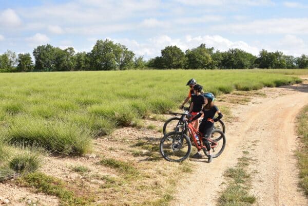 Site VTT FFC-Pays d'Oraison-Coeur de Durance-Circuit 4-Rouge-Oraison_Oraison