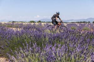Site VTT FFC-Pays d'Oraison-Coeur de Durance-Circuit 1-Vert-Oraison_Oraison