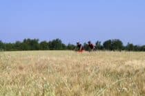 Site VTT FFC-Pays d'Oraison-Coeur de Durance-Circuit 1-Vert-Oraison_Oraison