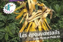 Exposition de photos_Roumoules